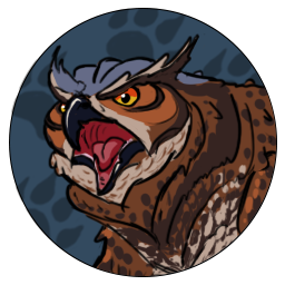 Night Owl | 6 Month Subscription